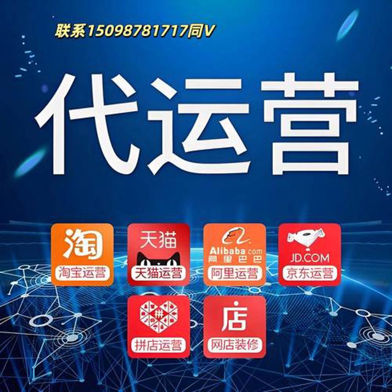 电商行业的热门话题——晟瑞模式